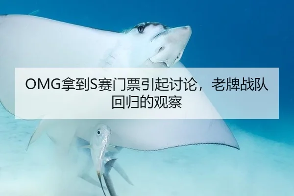 OMG拿到S赛门票引起讨论，老牌战队回归的观察